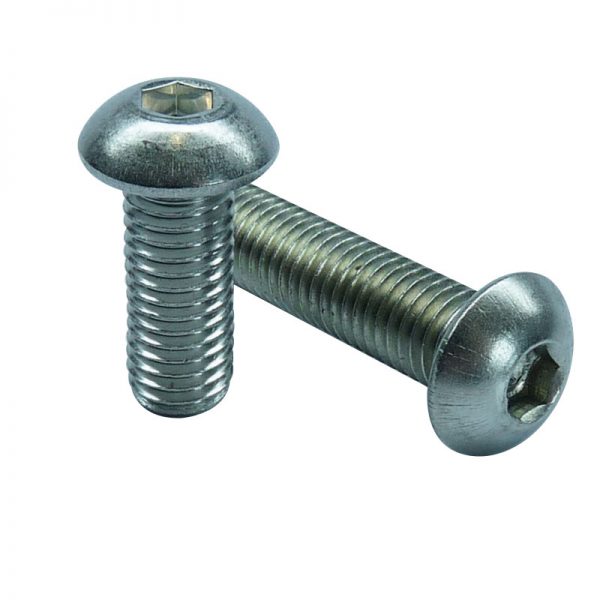 Stainless socket button head screw